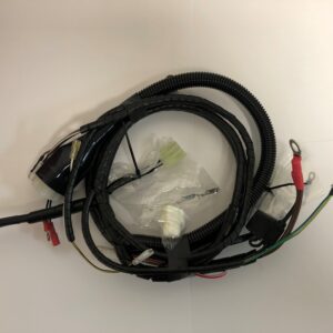 Engine Wiring Loom