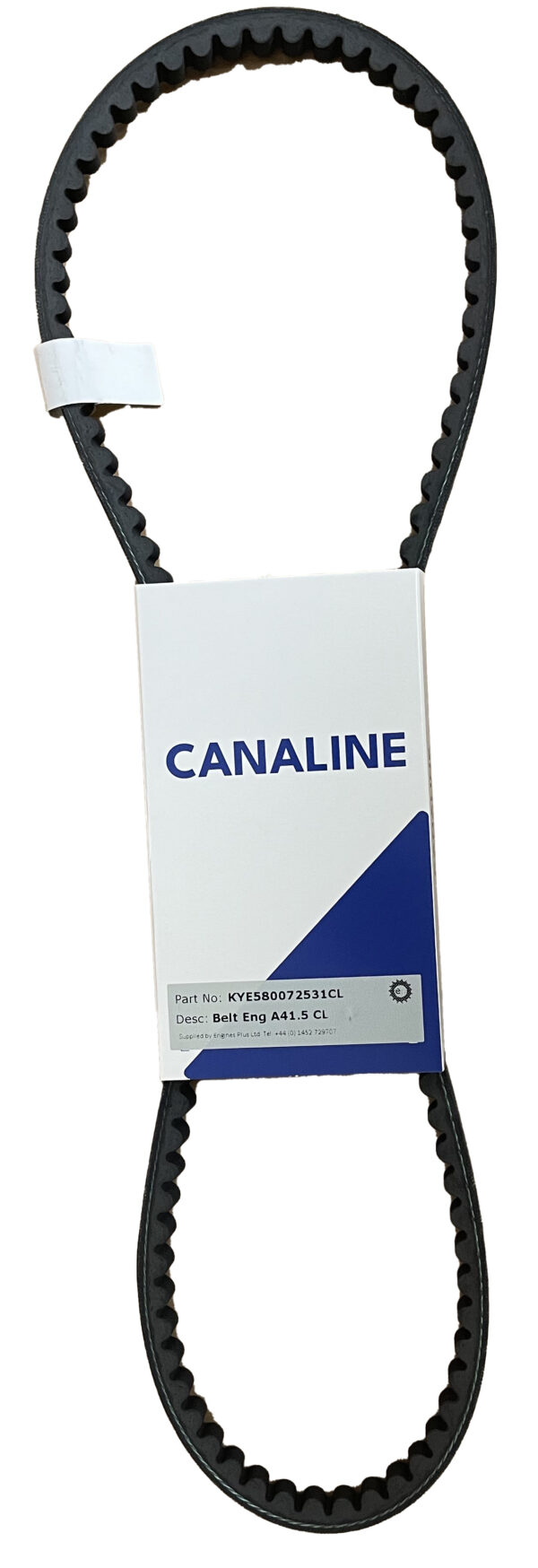 Fan Belt - CL60